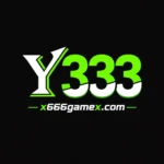 Y333 Game